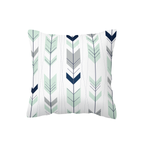 Arrow Path Scatter Cushion