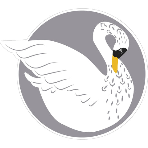 Swan Play Mat